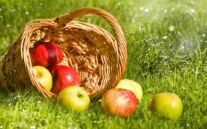 Почему нельзя есть яблоки до Яблочного Спаса матери потерявшей ребенка