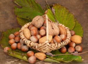 Ореховый Спас: традиции и обычаи